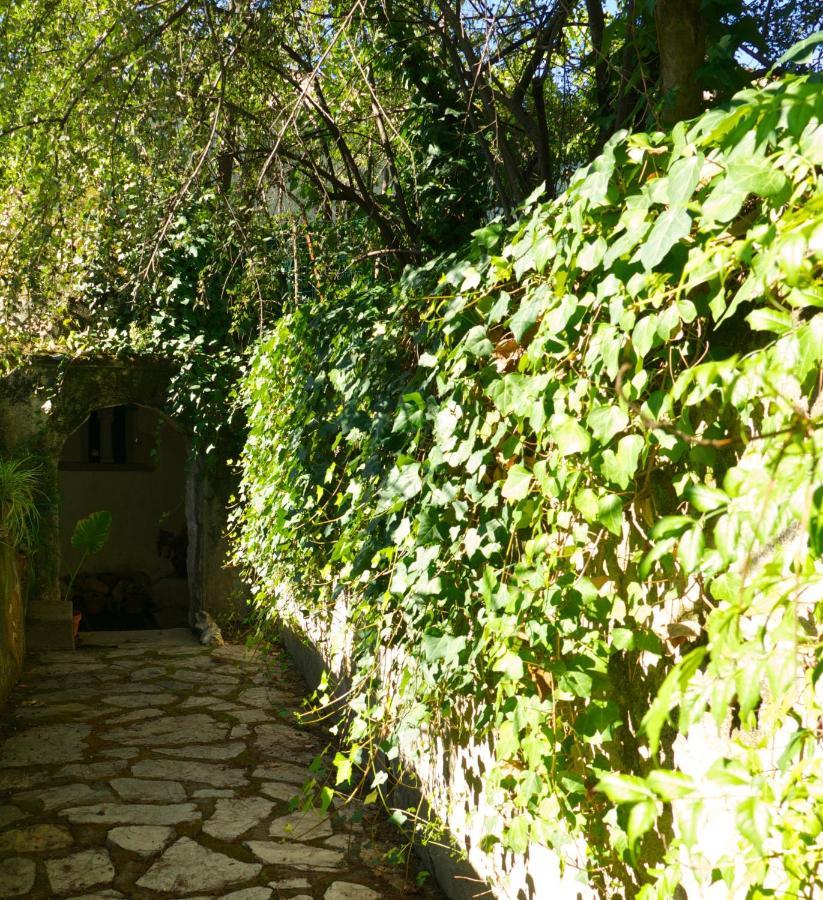 Hostal Casa Dos Arrabidos Torres Novas Exterior foto